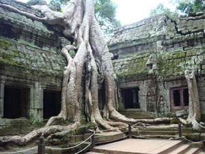 cambodia travel, cambodia discovery, angkor temple