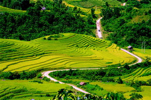 Special travel vietnam: Legendary trail of Vietnam