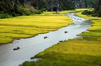 voyages Multi-pays: Combine Vietnam Laos, croisiere baie halong terrestre