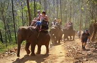 Voyages Thailande: L'autre visage de la Thailande, balade a dos d'elephant
