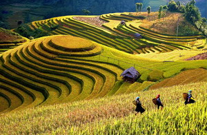 Voyages vietnam: Secret du Haut Tonkin  en moto