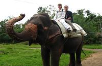 Voyages Laos: Charme du Laos, promenade a dos d'elephant a luang prabang