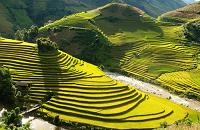 voyages vietnam en 4x4: Secret du Haut Tonkin, decouverte des rizieres en terrasse a sapa