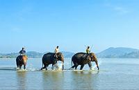 voyages vietnam hors des sentiers battus: mosaique ethnique du vietnam, balade a dos d'elephant au lac lak